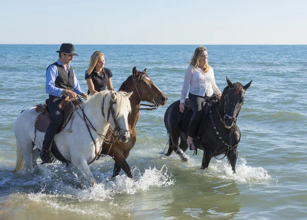 Skupina koně jezdců — Stock fotografie