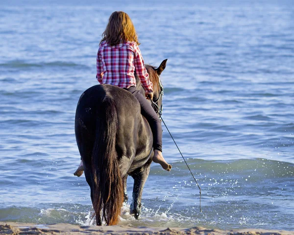 Tonåring och häst i havet — Stockfoto