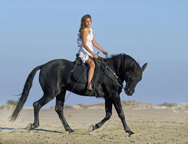 Reiterhof am Strand — Stockfoto