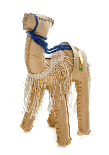 Brinquedo de camelo no estúdio — Fotografia de Stock