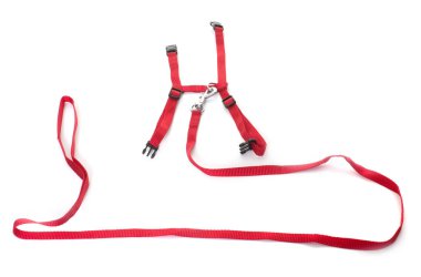 koşum takımı ve kira kontratı