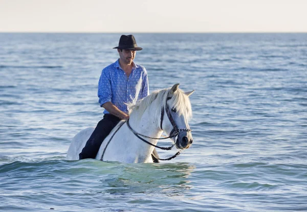 Αναβάτης άλογο στη θάλασσα — Φωτογραφία Αρχείου