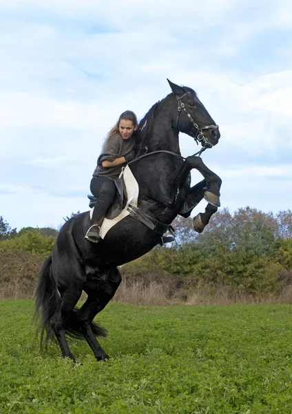 Dívka na koni a černý hřebec — Stock fotografie