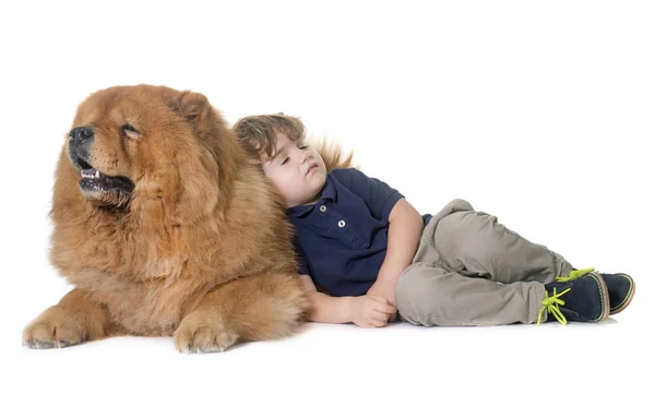 Chow chow perro y niño pequeño — Foto de Stock