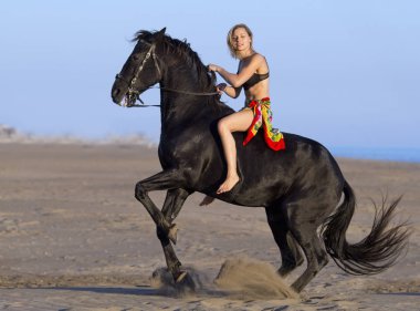 horsewoman on the beach clipart