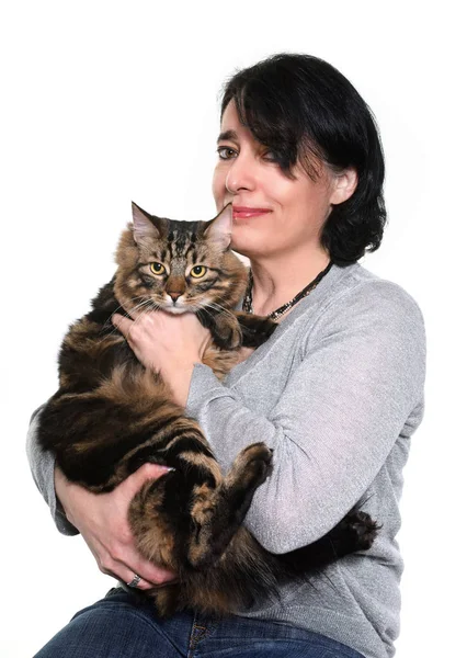 Mainské mývalí kočky a žena — Stock fotografie