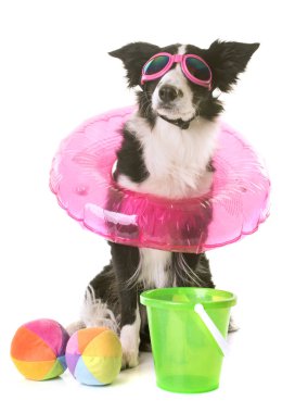 tatil kenar kömür ocağı