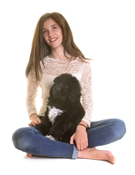 Puppy newfoundland dog and teen — Stock Photo, Image