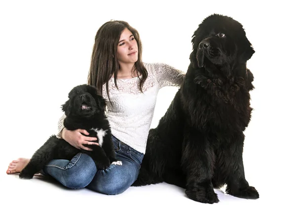 Newfoundland köpekler ve genç — Stok fotoğraf