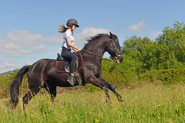 若い乗馬の女の子 — ストック写真