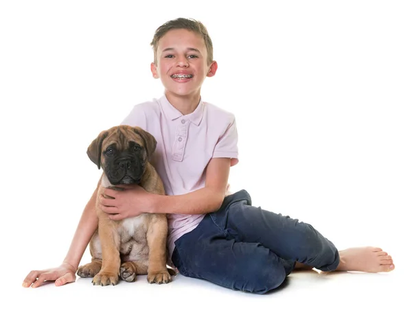 Cachorro touro mastim e criança — Fotografia de Stock