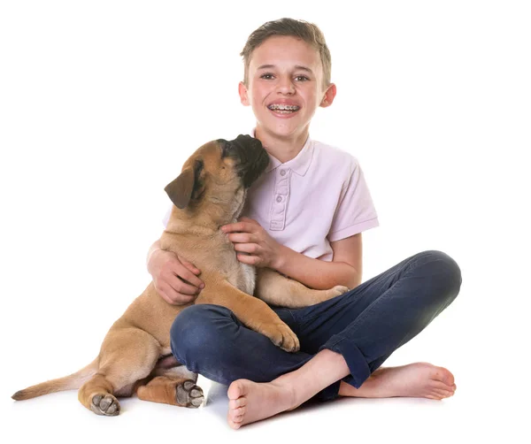 Welpen Bulle Dogge und Kind — Stockfoto