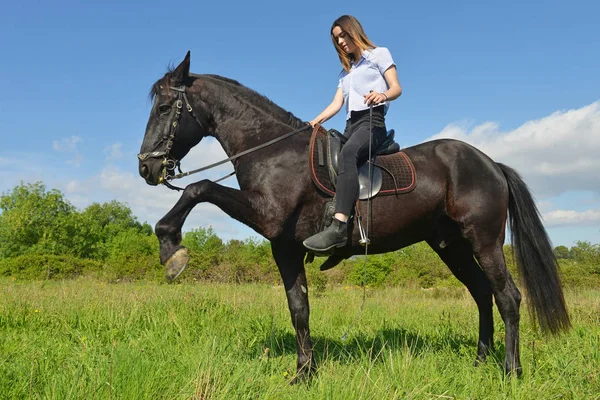 Mladí na koni dívka — Stock fotografie