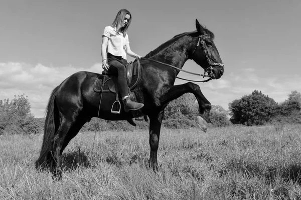 若い乗馬の女の子 — ストック写真