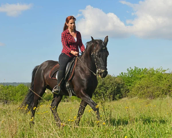 Mladí na koni dívka — Stock fotografie