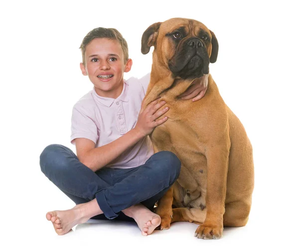 Cachorro toro mastín y niño — Foto de Stock