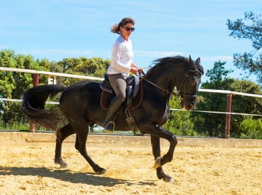binme kadın aygır üzerinde