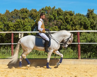 Kız sürme, eğitim