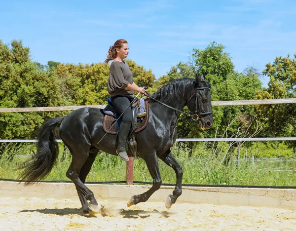 Riding woman on stallion — Stock Photo, Image