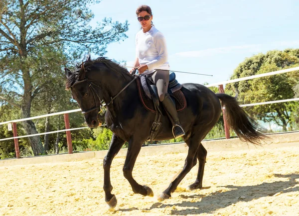 Riding woman on stallion — Stock Photo, Image