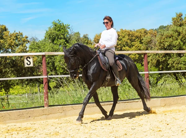 Equitazione donna su stallone — Foto Stock