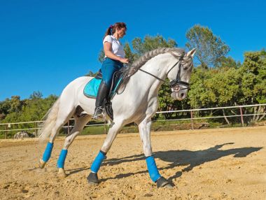 binme kadın aygır üzerinde