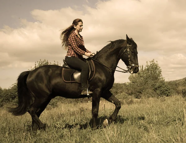 Mladí na koni dívka — Stock fotografie