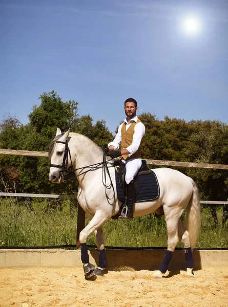 Riding man on stallion — Stock Photo, Image