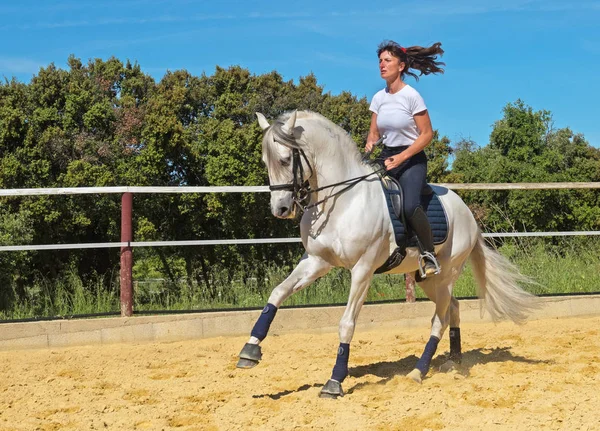 培训的骑马的女孩 — 图库照片