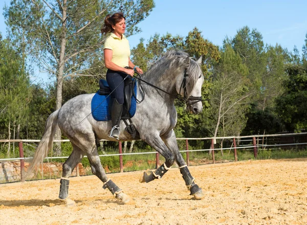Riding girl and stallion — Stock Photo, Image