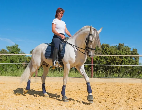 培训的骑马的女孩 — 图库照片