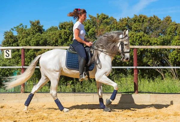 Treinamento de equitação menina — Fotografia de Stock
