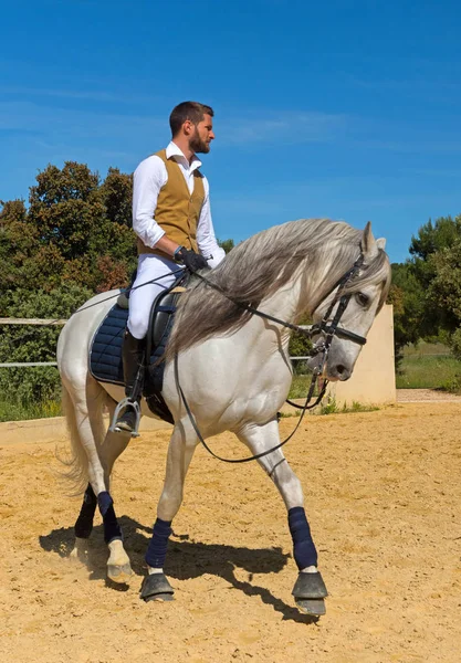 Opleiding van paardrijden meisje — Stockfoto