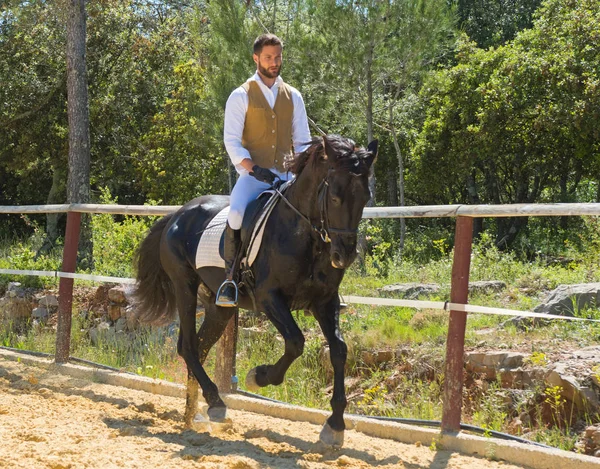 Entrenamiento de montar a caballo hombre —  Fotos de Stock