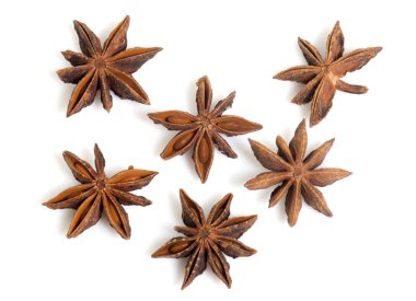 yıldız anason Studio