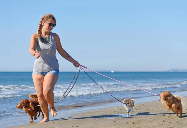 Frau und Hunde am Strand — Stockfoto