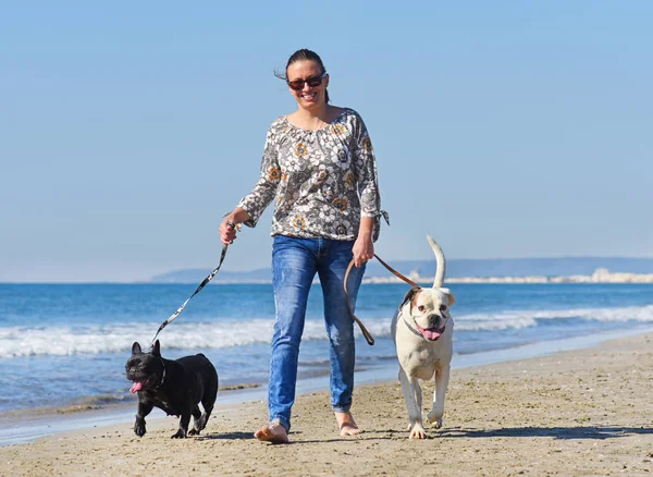 Mulher e cães na praia — Fotografia de Stock