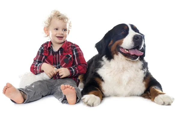 Маленький мальчик и собака — стоковое фото