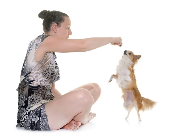 Chihuahua och kvinna — Stockfoto