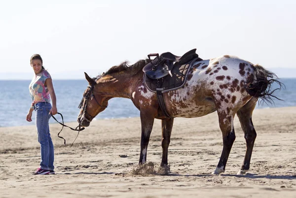 해변에 horsewoman — 스톡 사진