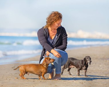 köpek ve kadın sahilde