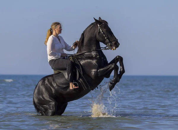 Cavalière sur la plage — Photo