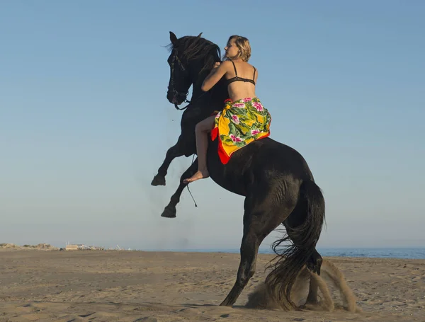 Γυναίκα Άλογο Και Μαύρο Stallion Εκτροφής Στην Παραλία — Φωτογραφία Αρχείου