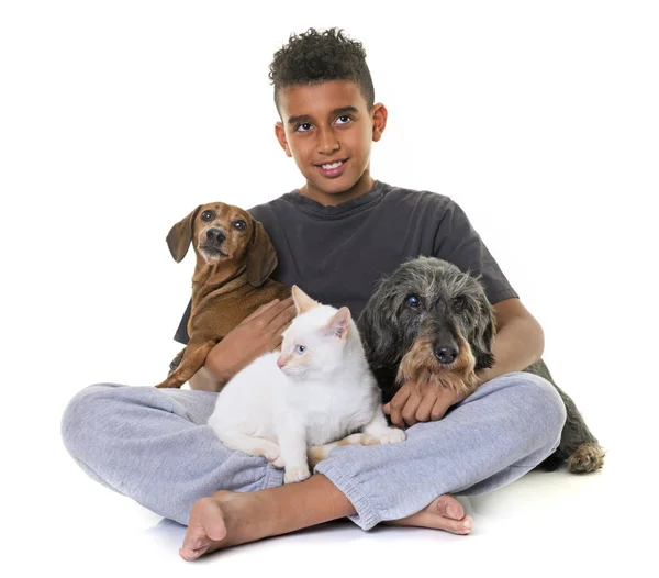 Salchichas, gatito y niño — Foto de Stock