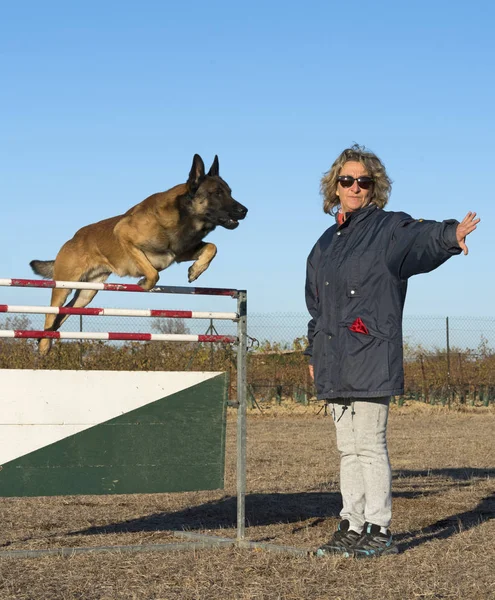 Formation de chien de police — Photo