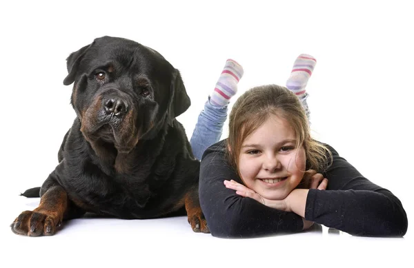 Jong meisje en de hond — Stockfoto