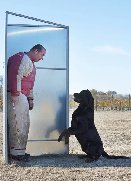 Training of police dog — Stock Photo, Image