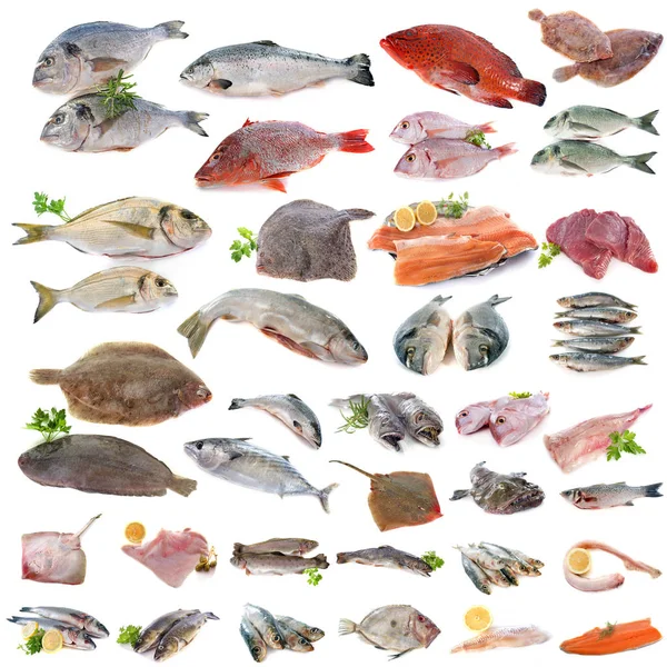 Group of fish — Stock Photo, Image