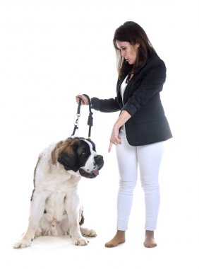 young saint bernard and owner clipart