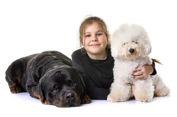 Jong meisje en de honden — Stockfoto